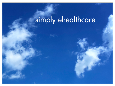 12th Annual Healthcare Internet Conference in Orlando, Fla.